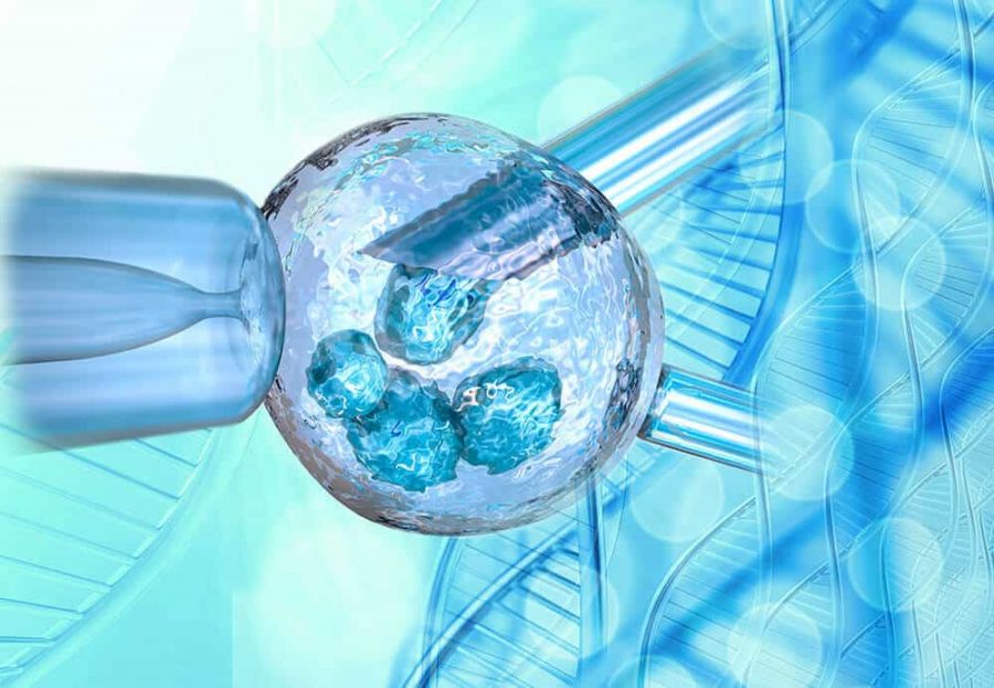 XÉT NGHIỆM DI TRUYỀN TIỀN LÀM TỔ (PGT)